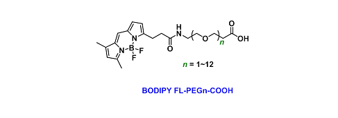 BODIPY FL-PEGn-COOH